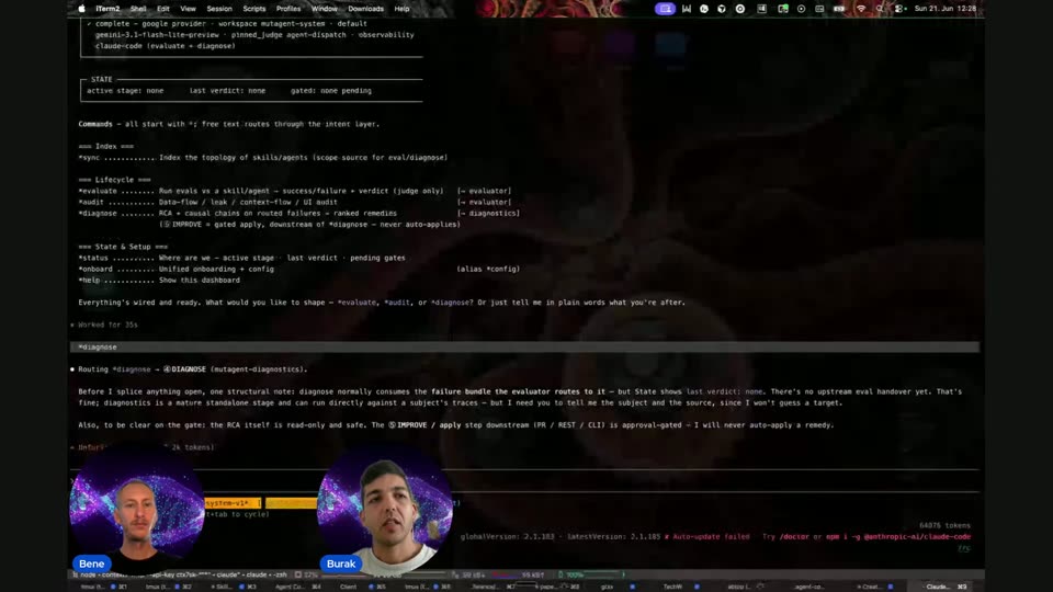 终端运行diagnose诊断命令输出